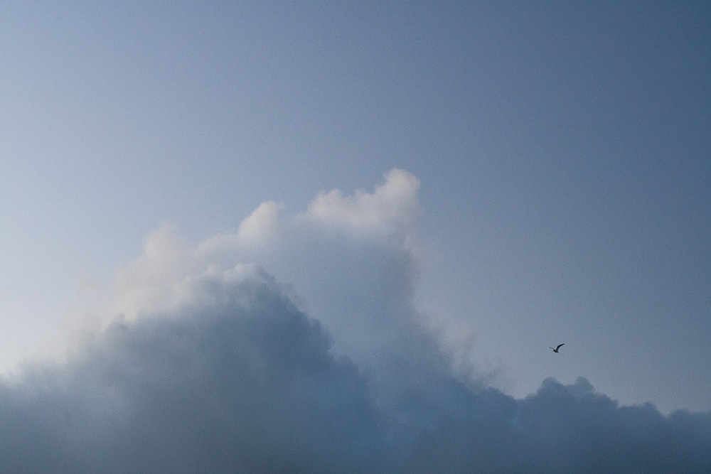 Cloudswells, Falmouth, Cornwall. 2021.