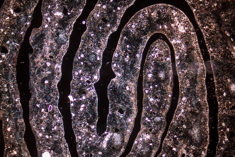 Fingerprint under microscope, Falmouth, Cornwall. 2019.