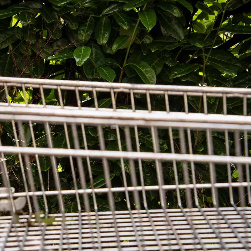 The weathered spine of a lonely cart, stark against its habitat.